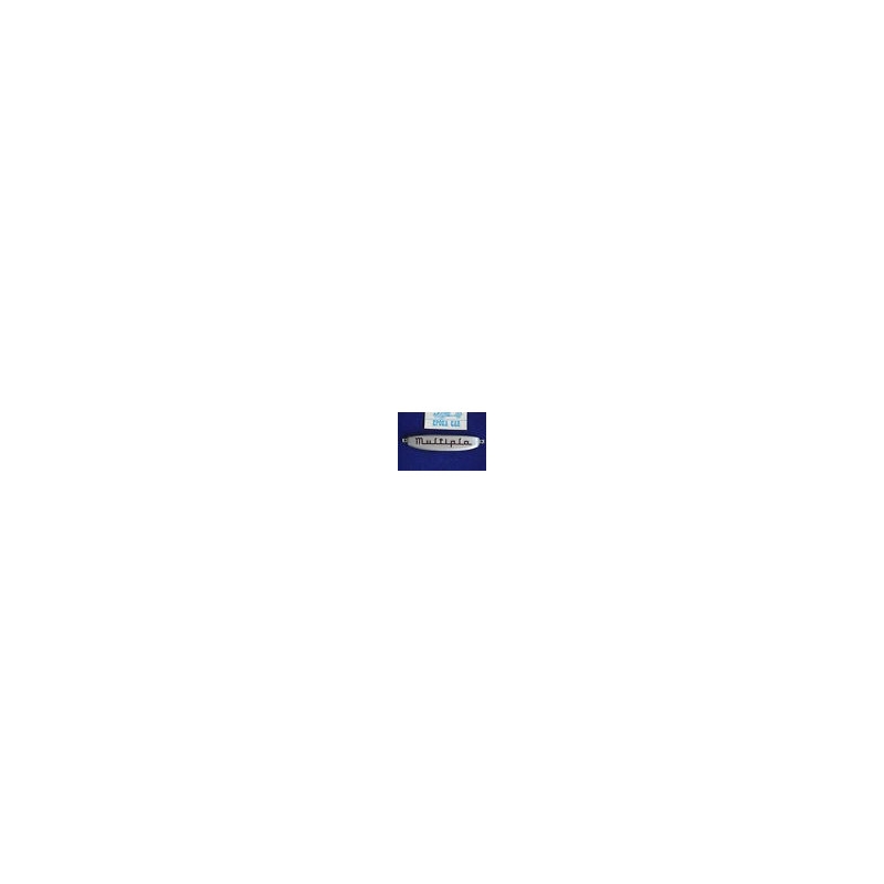 SCRITTA LOGO FRONTALE " multipla"