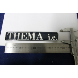 SCRITTA "THEMA I. E."   PLASTICA