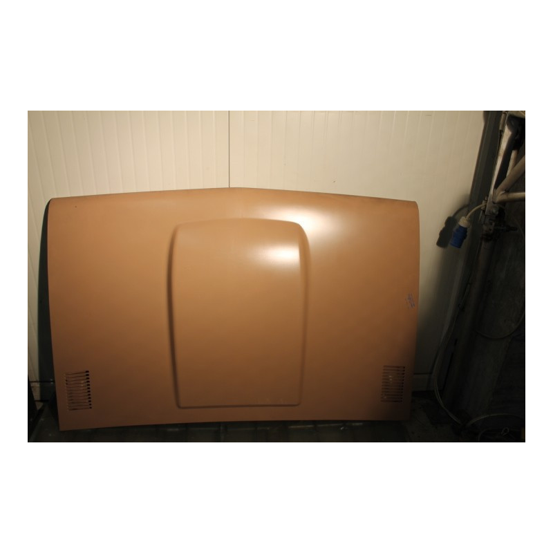 131 DIESEL  COFANO ANTERIORE (4391447)
