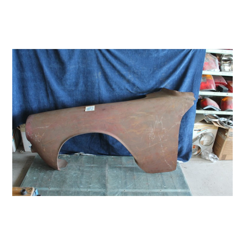 APPIA VIGNALE   FRONT LEFT FENDER
