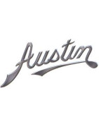 AUSTIN